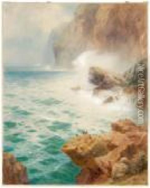 Rocky Coastal Scene With Birds Oil Painting - Thomas Moran