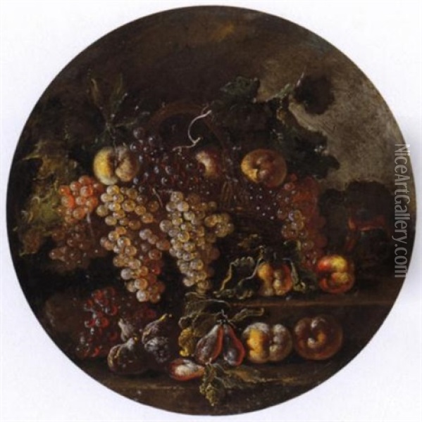 Natura Morta Di Frutta Oil Painting - Bartolomeo Castelli the Younger