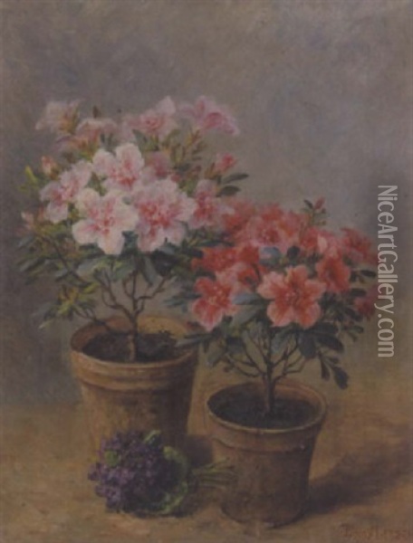 Stilleben Mit Veilchenstraus Und Zwei Blumentopfen Oil Painting - Louis Letsch