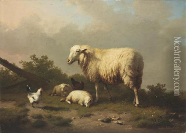 Sheep And Chickens In A Pasture Oil Painting - Eugene Joseph Verboeckhoven