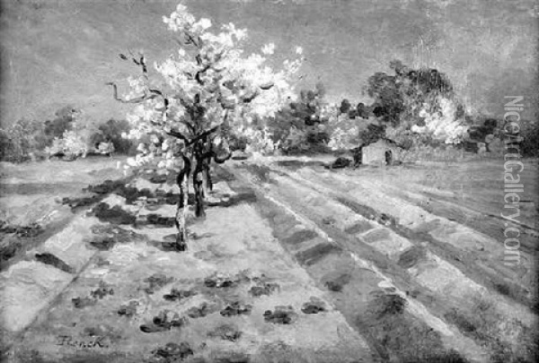 Bluhende Kirschbaume Oil Painting - Ernst Emil Renck