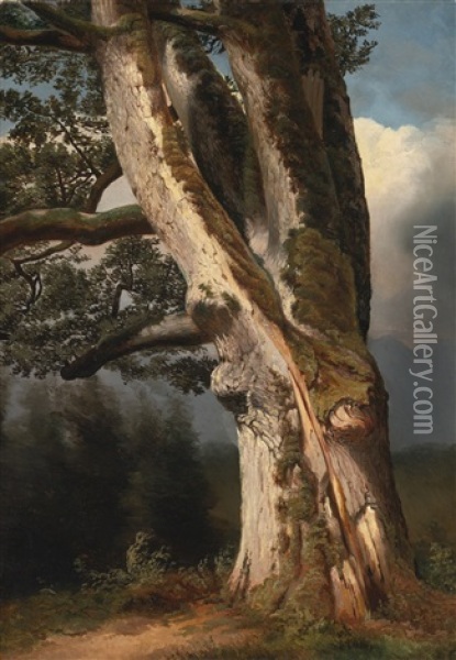 An Oaktree Trunk Oil Painting - Alexandre Calame