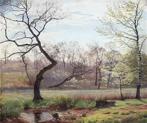 Landscape With Tall Trees Oil Painting - Harald Frederick Foss