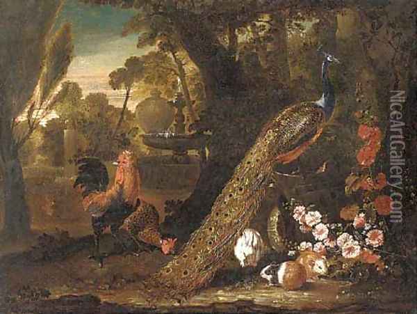 A peacock, a cockerel Oil Painting - David de Coninck