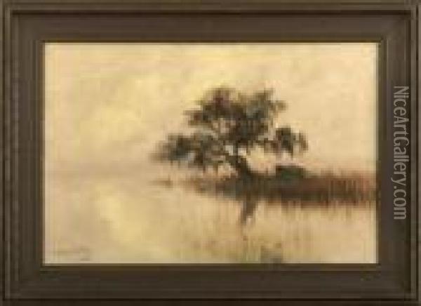View Of A Misty Morning Onthe Louisiana Bayou With Trapper's Cabin And Oak Tree Oil Painting - Alexander John Drysdale
