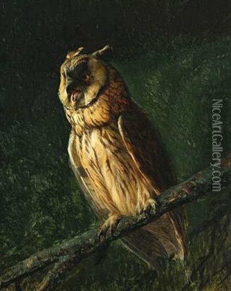 An Owl On A Branch Oil Painting - Niels Peter Rasmussen