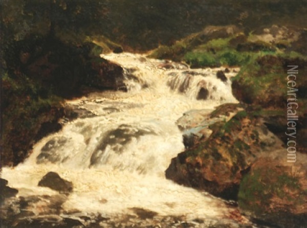 Cascading Falls Oil Painting - Hermann Herzog