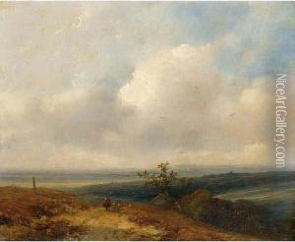 A Shepherd In An Extensive Landscape Oil Painting - Johannes Franciscus Hoppenbrouwers