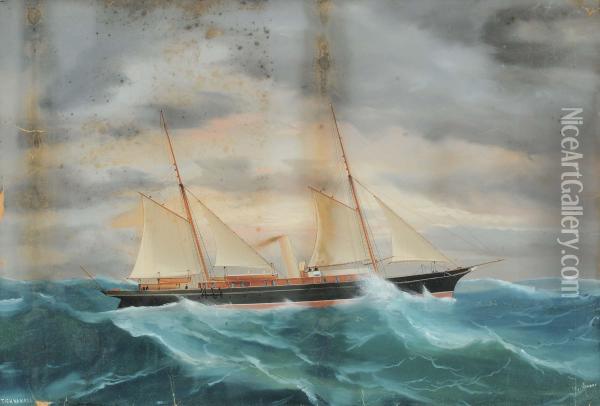 Ritrattodello Steam Yacht Tighnamara In Mare Aperto Oil Painting - Antonio de Simone