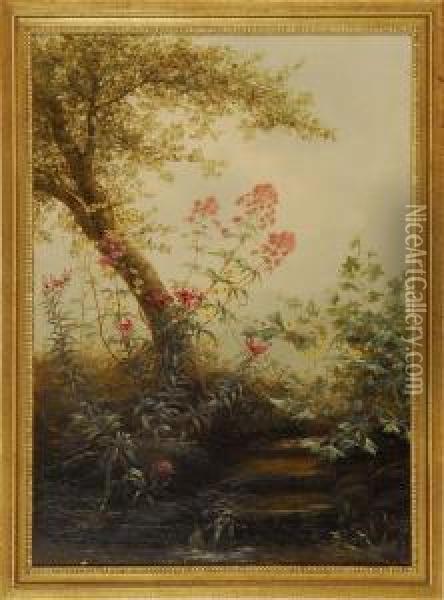 Forest Stream With Flowering Foliage Oil Painting - Jerome B. Thompson