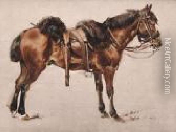 Oil Sketch Of A Horse Oil Painting - William Arnold Woodhouse