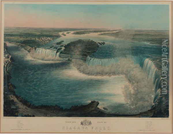 Bird's Eye View Of Niagara Falls Oil Painting - John Bachman