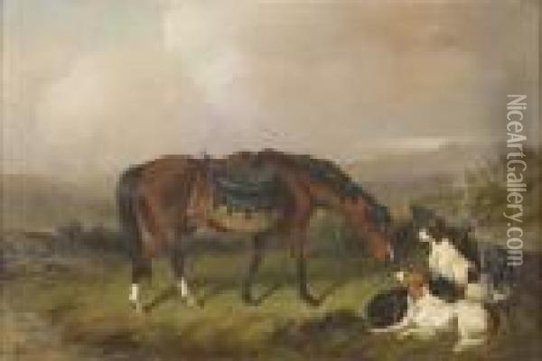Cavallo Con Cani Da Caccia A Riposo Oil Painting - Colin Graeme Roe