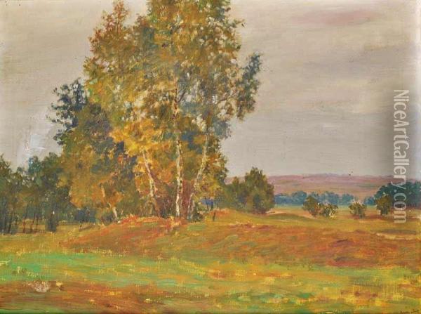 A Summer Landscape Oil Painting - Frantisek Kavan