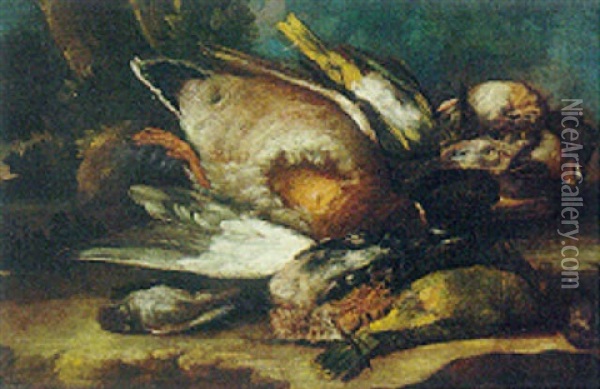 Dead Birds In A Landscape Oil Painting - Carlo Crivelli