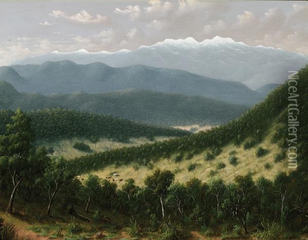 Alpine Landscape, Near Beechworth Oil Painting - A.W. Eustace