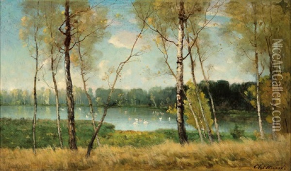The Jean-jacques Rousseau Lake In Ermenonville Oil Painting - Anton Chittussi