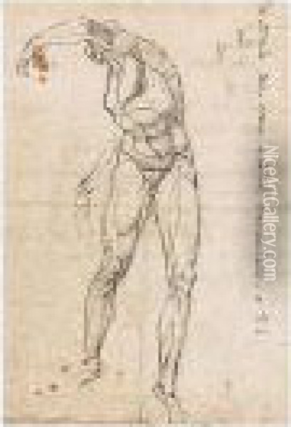 Study Of A Male Nude Oil Painting - Johann Henry Fuseli