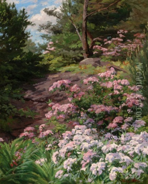Pink And White Rhododendron In A Forest Oil Painting - Thomas Allen