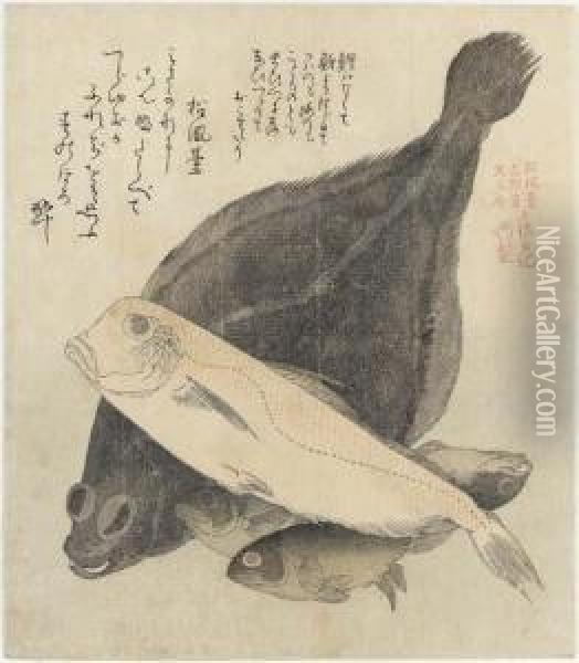 Flounder And Four Fish, From The Series Shofudai Hisakatayabumbunsha Tosa Nikki (the Tosa Diary For Shofudai, Hisakataya Andbumbunsha) Oil Painting - Kubo Shunman