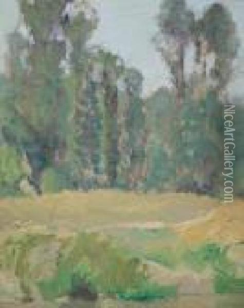 Poplars, Thornhill Oil Painting - James Edward Hervey MacDonald