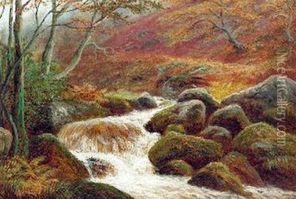 On The Burbadge, Derbyshire Oil Painting - William Mellor
