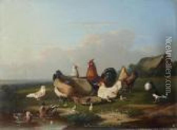 Cocq, Chickens And Ducks Near The Water Oil Painting - Franz van Severdonck