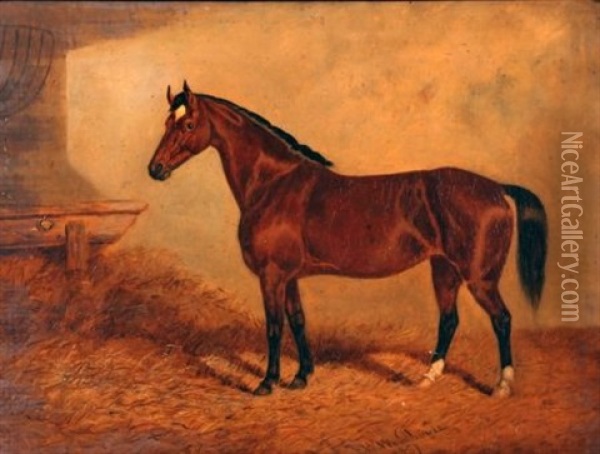 Brown Horse In Stable Oil Painting - Frederick Woodhouse Sr.