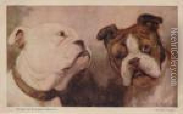 'types Of English Beauty', Depicting Two Bulldogs Oil Painting - Cecil Charles Aldin
