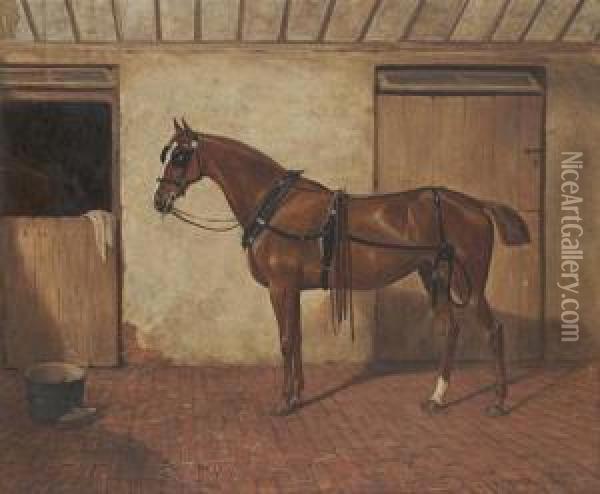 A Bay Horse In A Stable Oil Painting - William Elsob Marshall