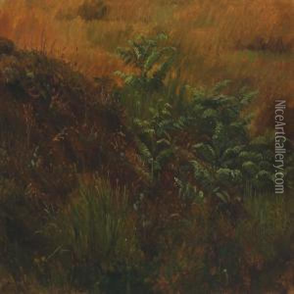 Study Of Fronds And Gras Oil Painting - Peter Christian T. Skovgaard