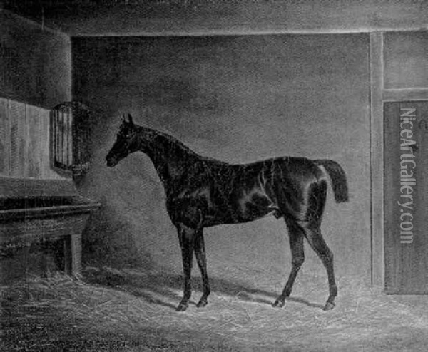 A Dark Bay Hunter In A Stable Oil Painting - James (of Bath) Loder