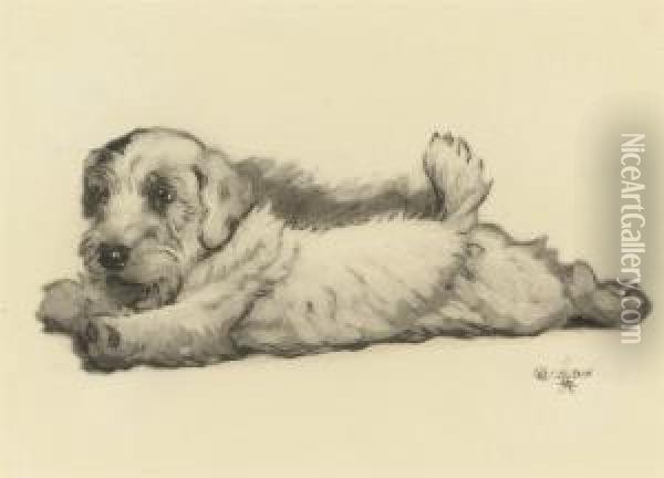 A Sealyham Puppy Stretching Oil Painting - Cecil Charles Aldin