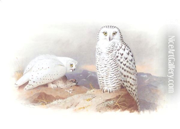 Showy Owls Oil Painting - Archibald Thorburn