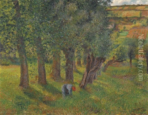 Le Chou A Pontoise Oil Painting - Camille Pissarro