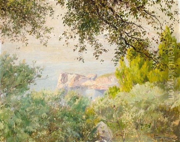 Vista De Mallorca Oil Painting - Eliseo Meifren y Roig