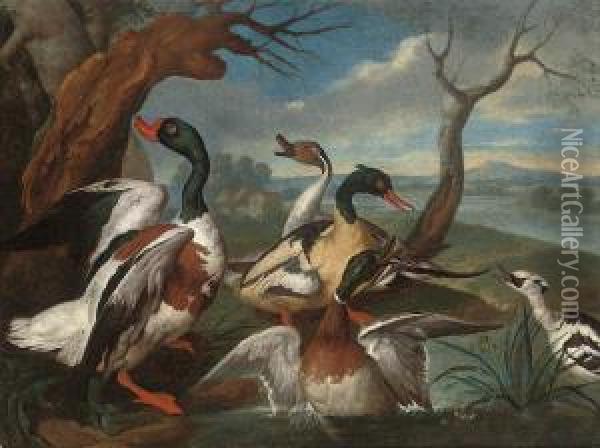 A Shellduck, A Pintail, A Mallard, And Other Ducks On The Bank Of A River Oil Painting - Ferdinand Phillip de Hamilton