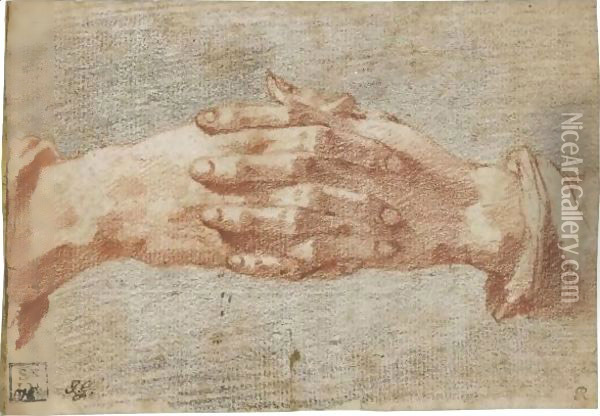 Study Of Clasped Hands Oil Painting - Andrea Boscoli