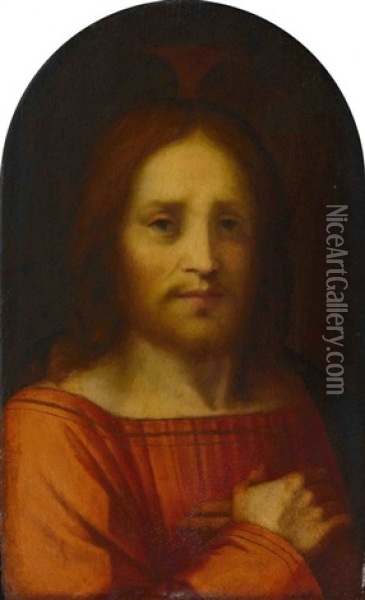 Christus Der Erloser Oil Painting - Andrea Del Sarto