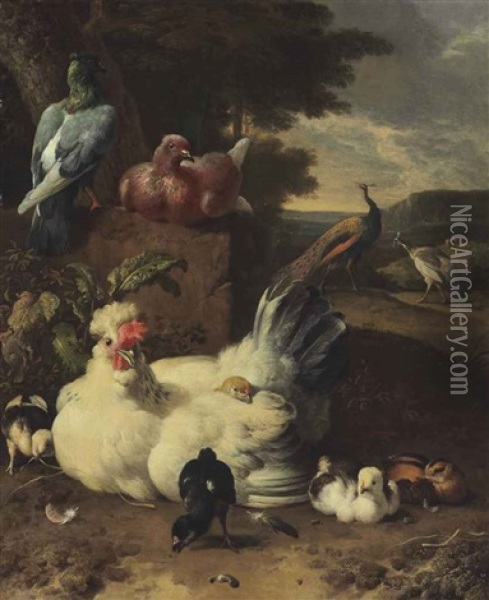 A Hen, Chicks, Doves And Peacocks Beside A Stone Wall In A Landscape Oil Painting - Melchior de Hondecoeter