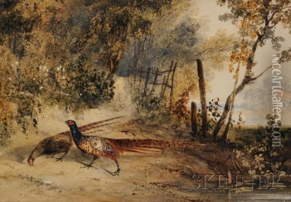 Pheasant Pair In A Landscape Oil Painting - Newton Fielding