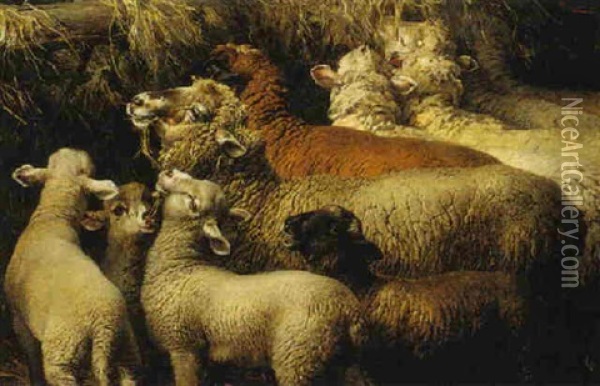 Sheep Oil Painting - Bela Pallik