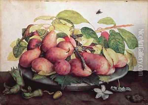 Pears with Hawthorns Oil Painting - Giovanna Garzoni