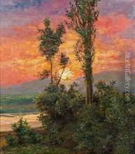 Sonnenuntergang An Der Donau Oil Painting - Leo Von Littrow