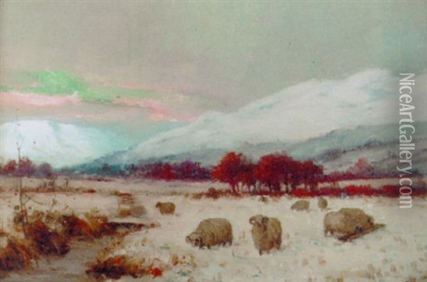 Sheep In A Highland Winter Landscape Oil Painting - Joseph Denovan Adam