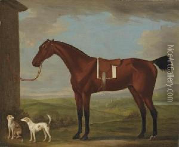 A Saddled Bay Hunter Tethered To
 A Wall, With Two Hounds, A Churchin The Landscape Beyond Oil Painting - J. Francis Sartorius