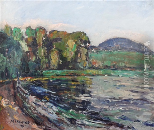 Uferpartie Am Neuenburger See Oil Painting - Max Robert Theynet