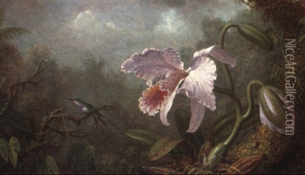 Hummingbird And Orchid Oil Painting - Martin Johnson Heade