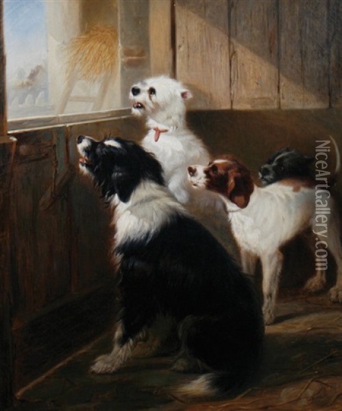 Terriers In A Stable Oil Painting - Zacharias Noterman