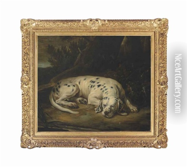 A Spotted Hound Resting By A Tree In A Wooded Landscape Oil Painting - David de Coninck